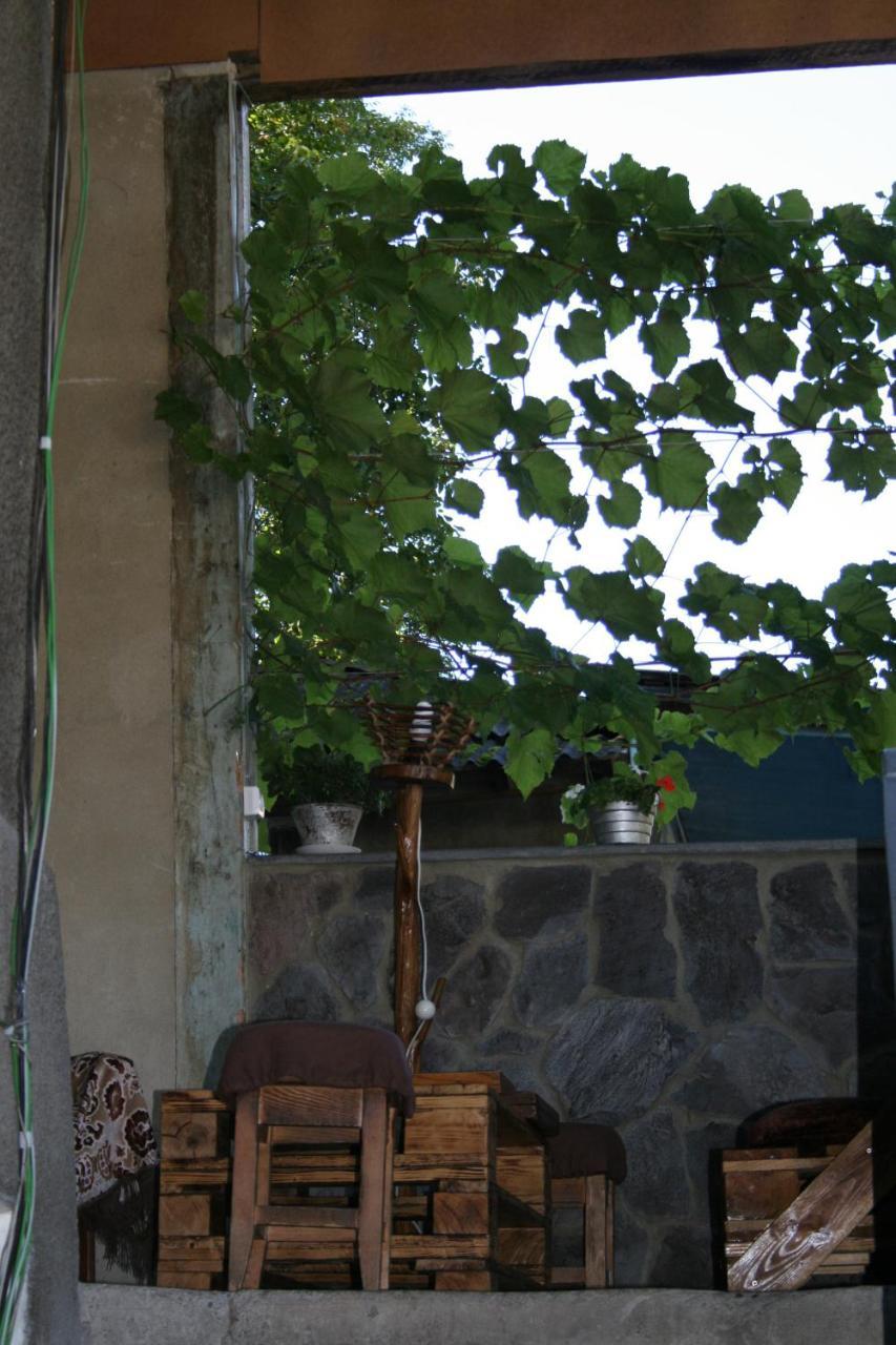 Guest House Nima Borjomi Esterno foto