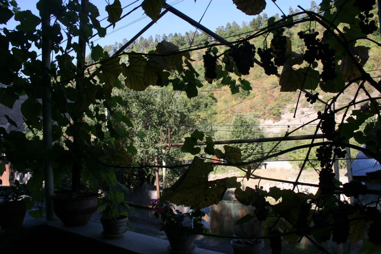 Guest House Nima Borjomi Esterno foto